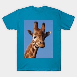 Giraffe T-Shirt